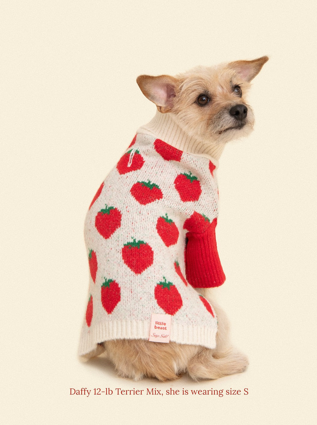 Meet the Parents Sweater - Strawberries