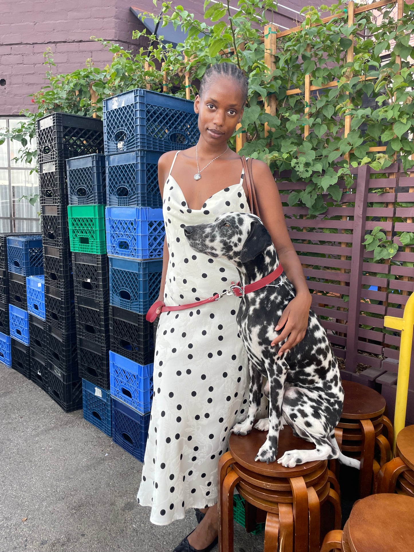 Griffin Dress - White Dot