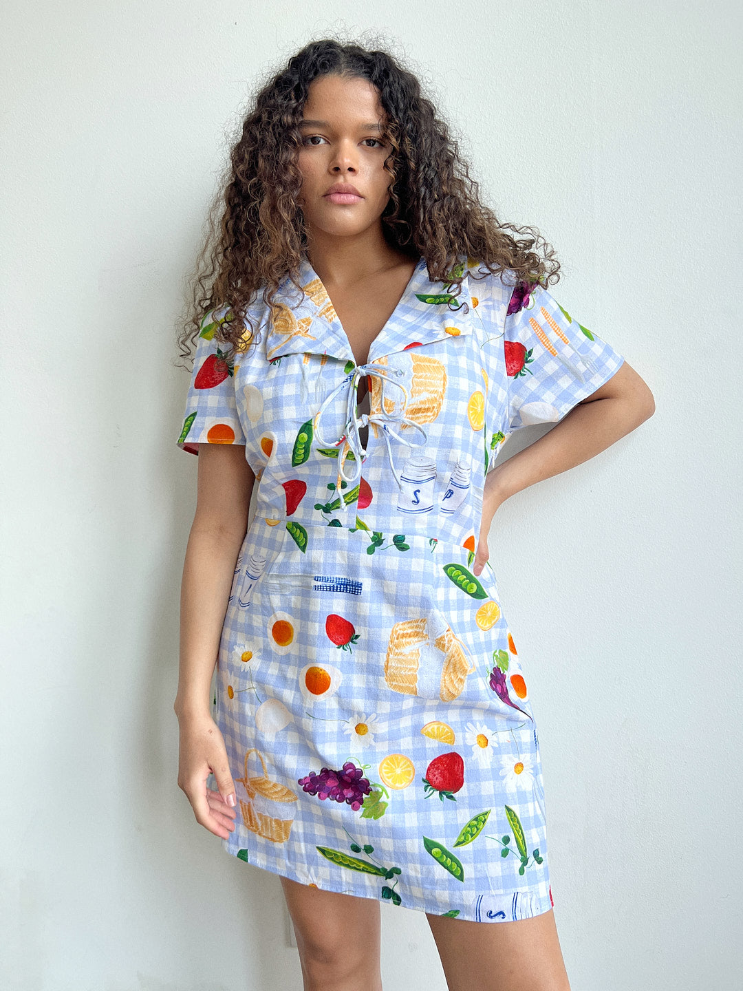 Alexa Shirtdress - Picnic Alfresco – Lisa Says Gah