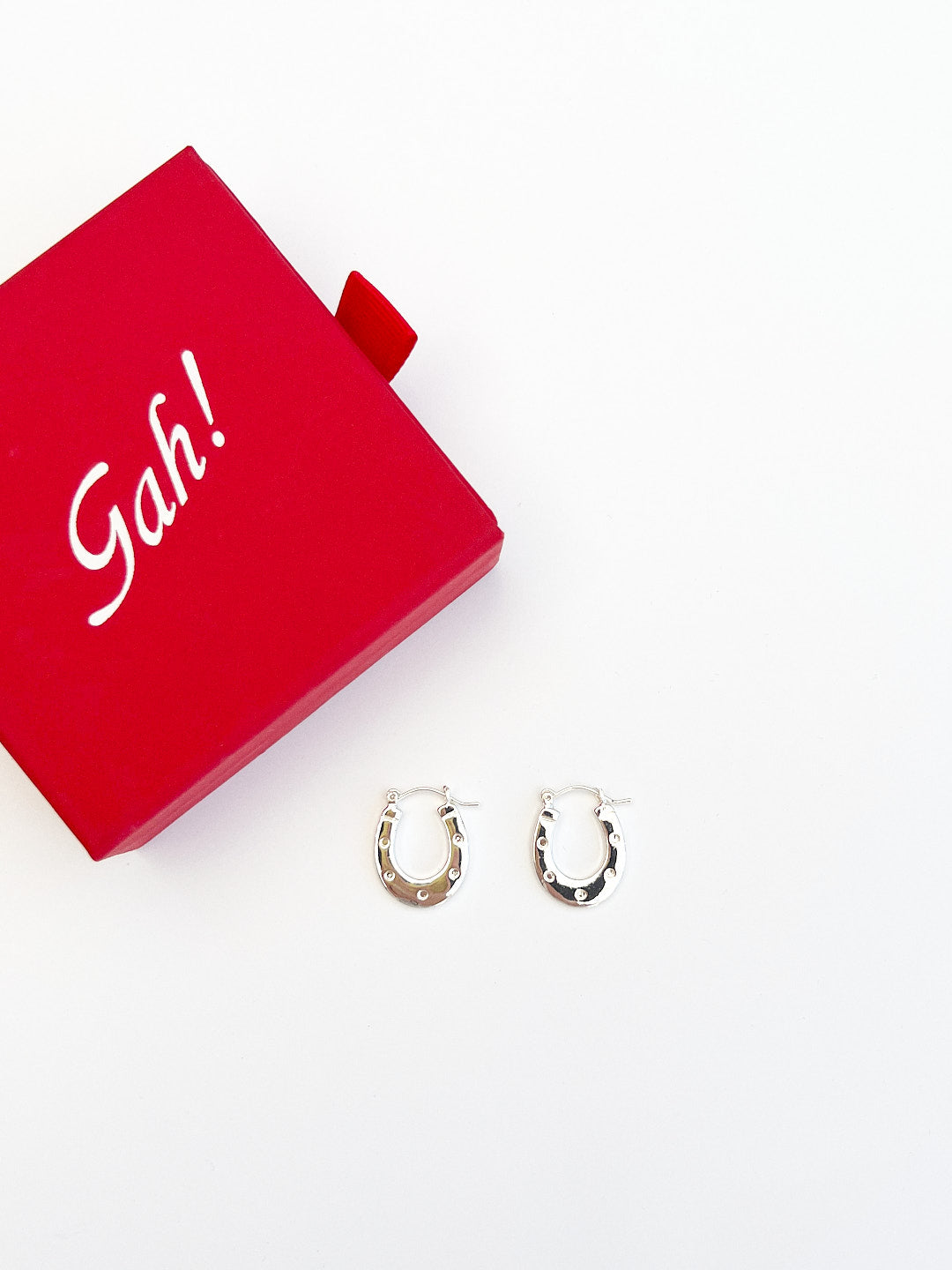 Horseshoe Earrings - Silver