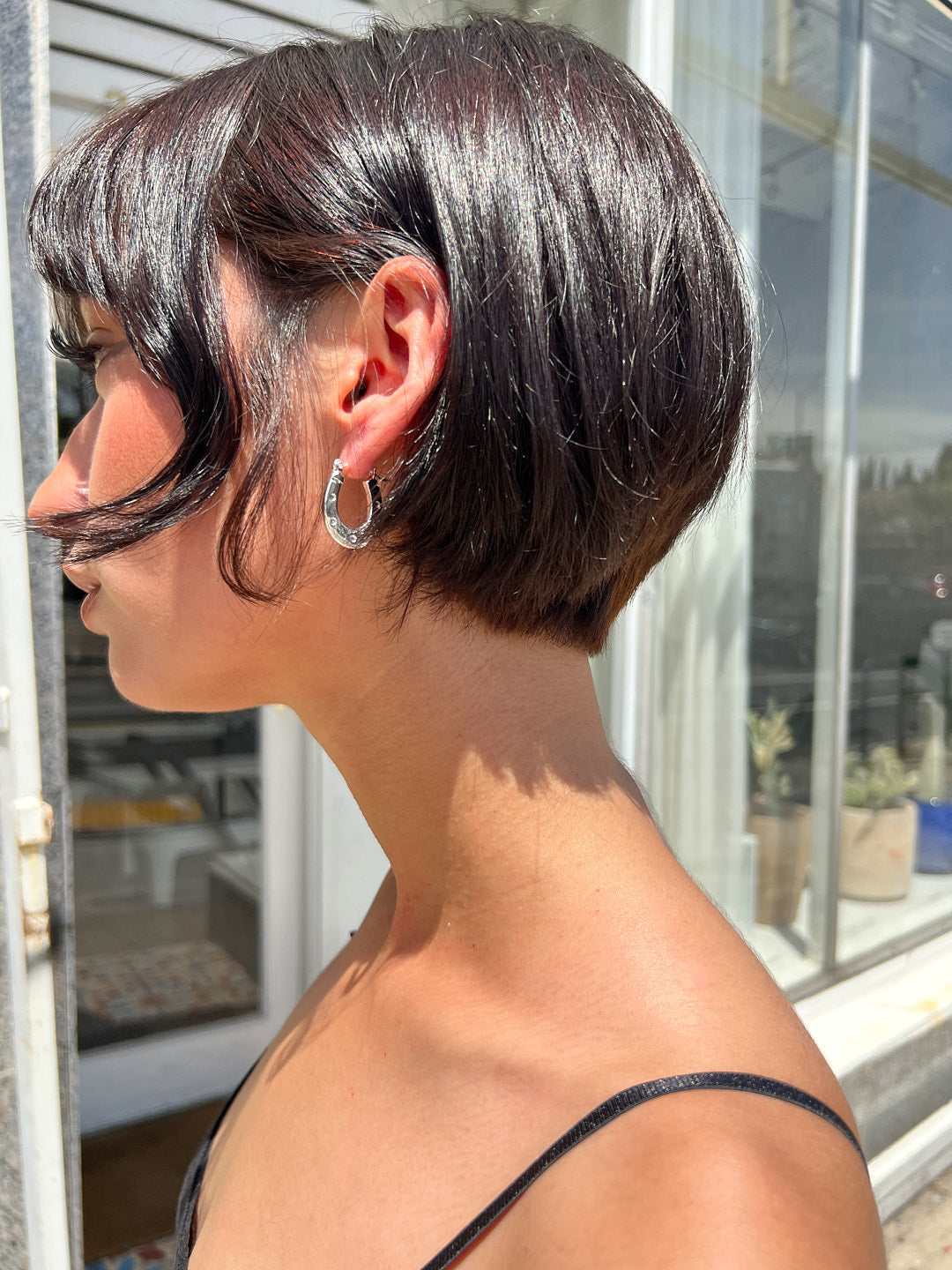 Horseshoe Earrings - Silver
