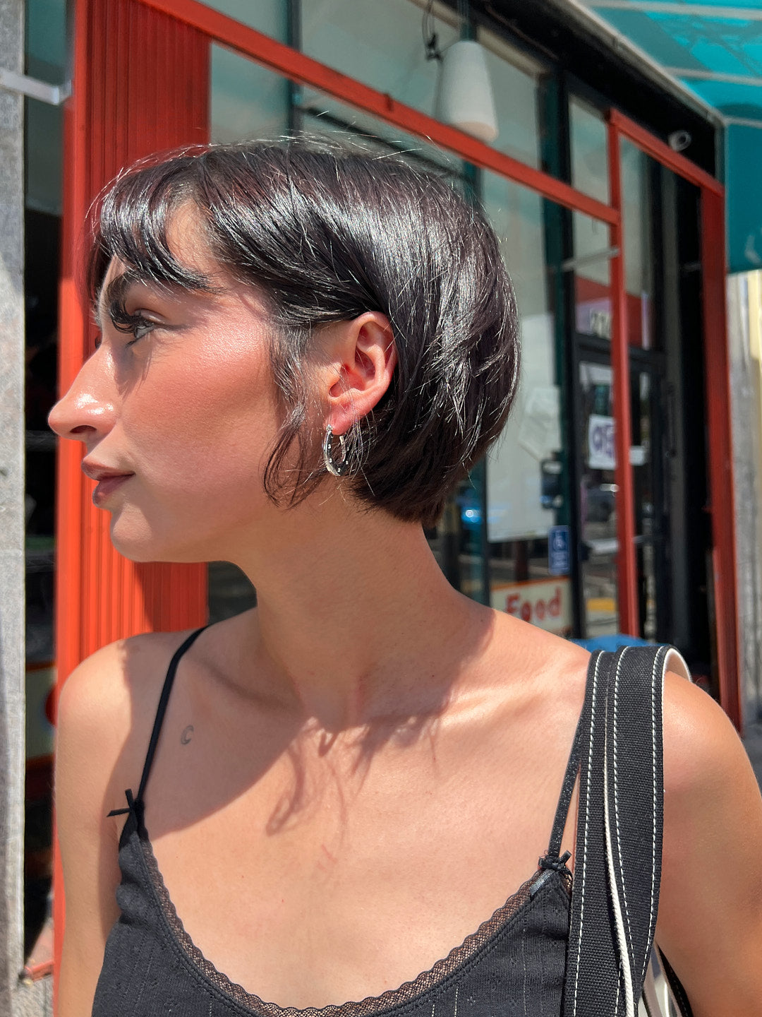 Horseshoe Earrings - Silver