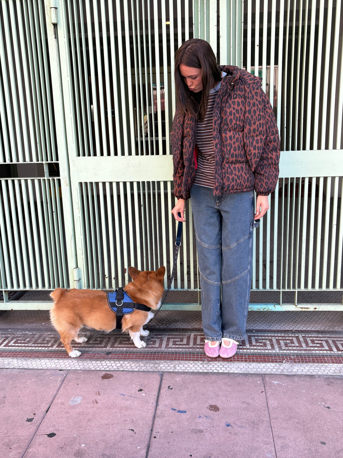 Pearl Puffer - Chocolate Leopard