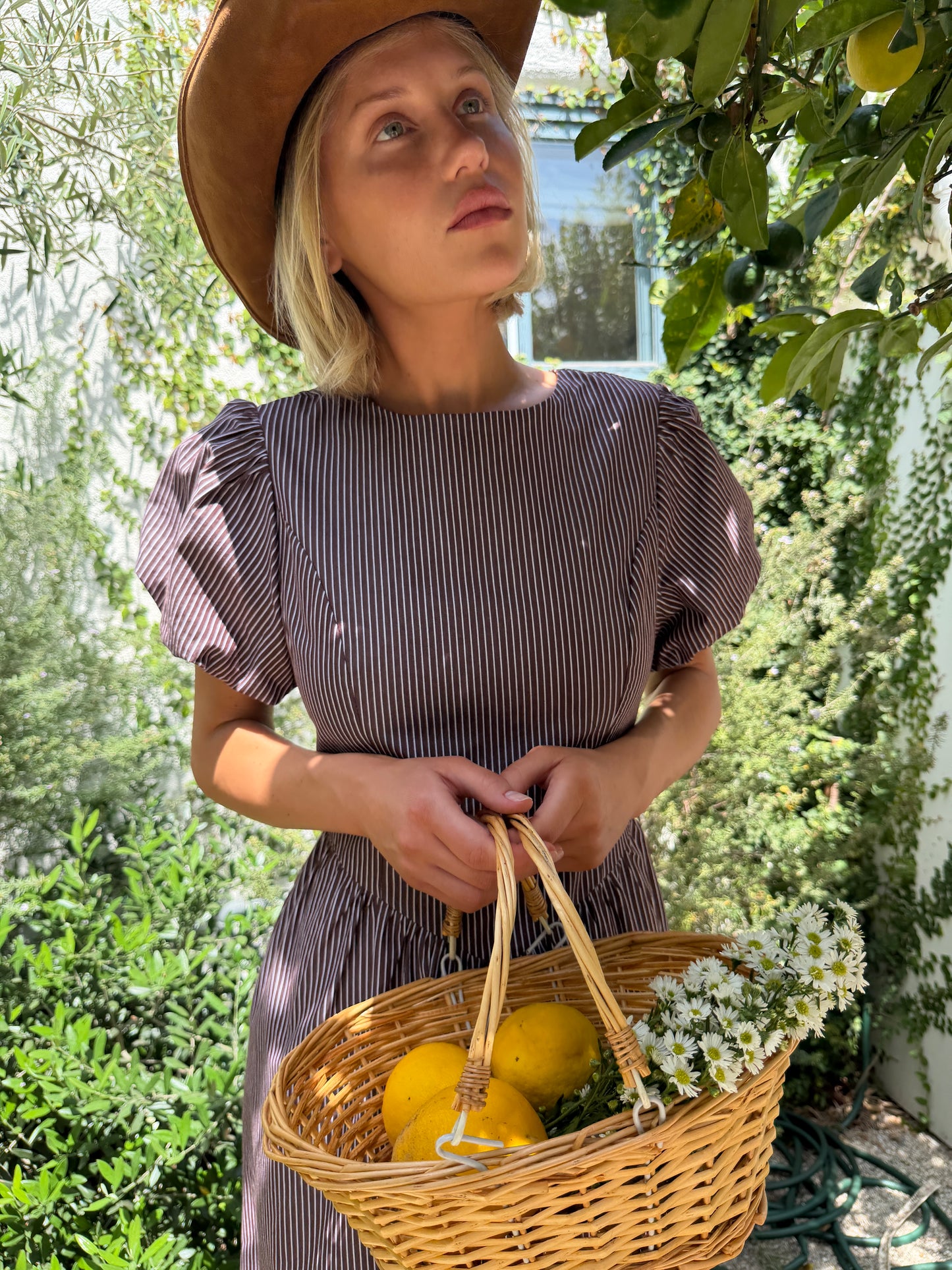 Verena Dress - Saddle Stripe