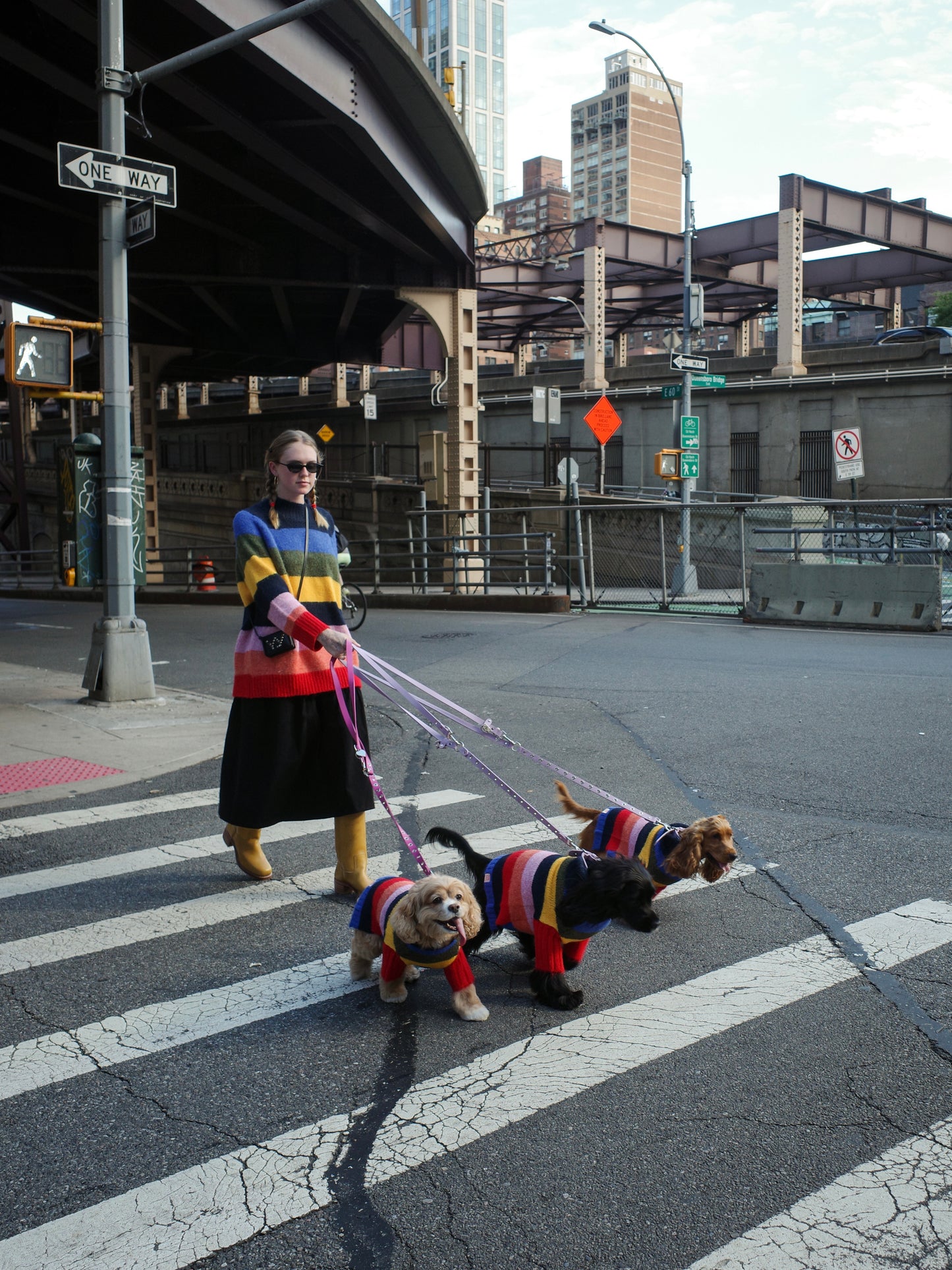Dog Sweater - Rainbow