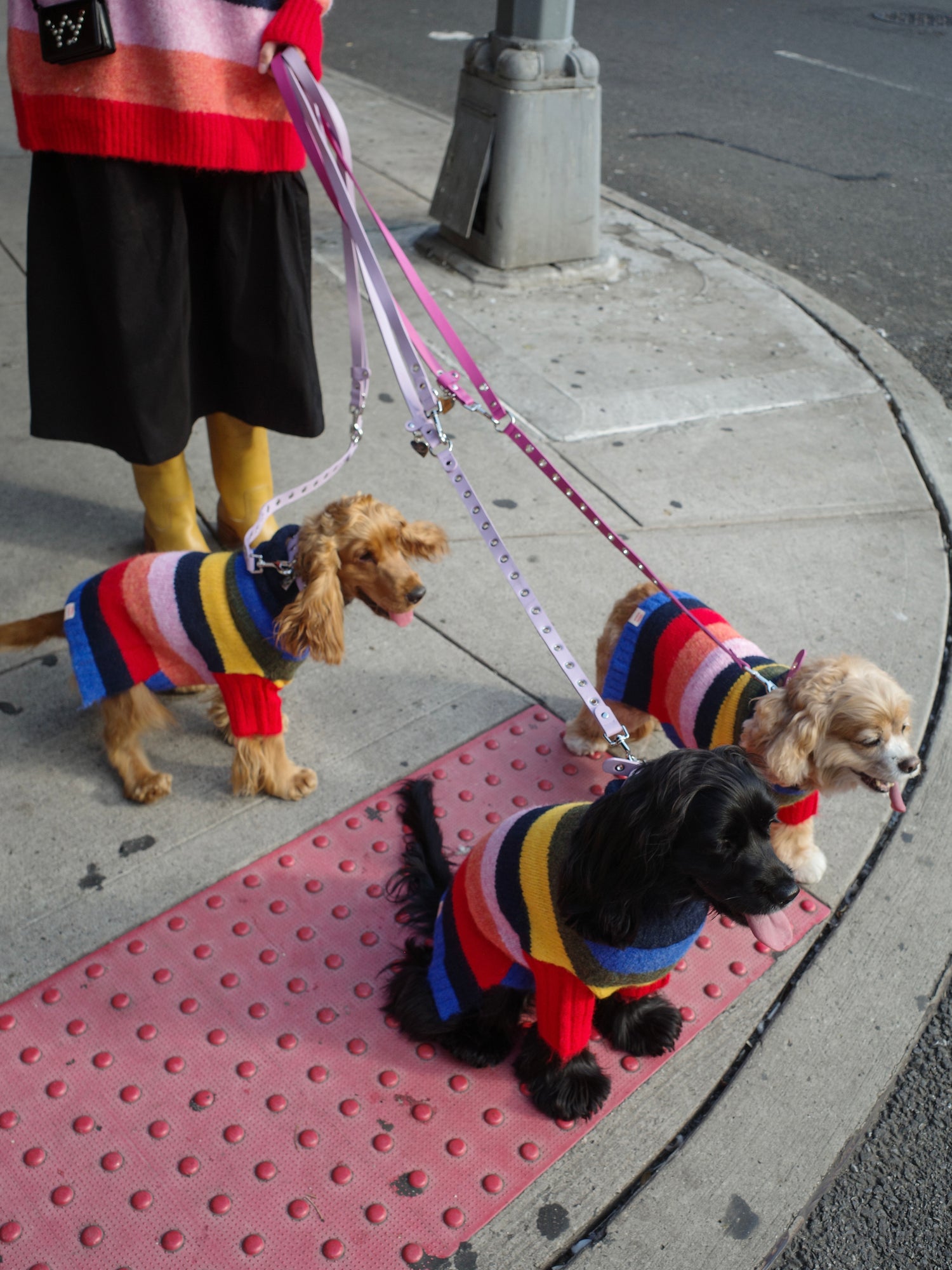 Dog Sweater - Rainbow