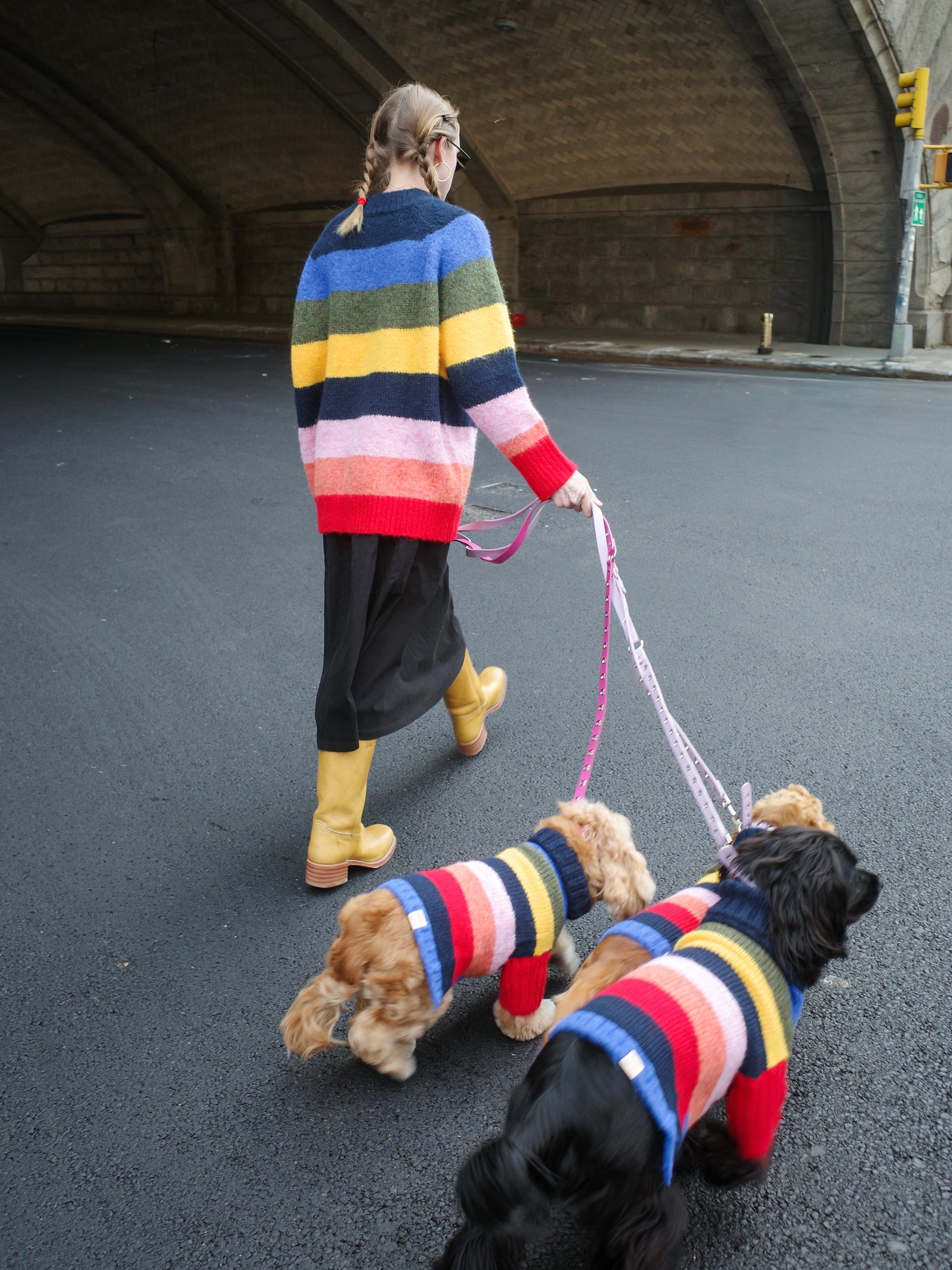 Dog Sweater - Rainbow