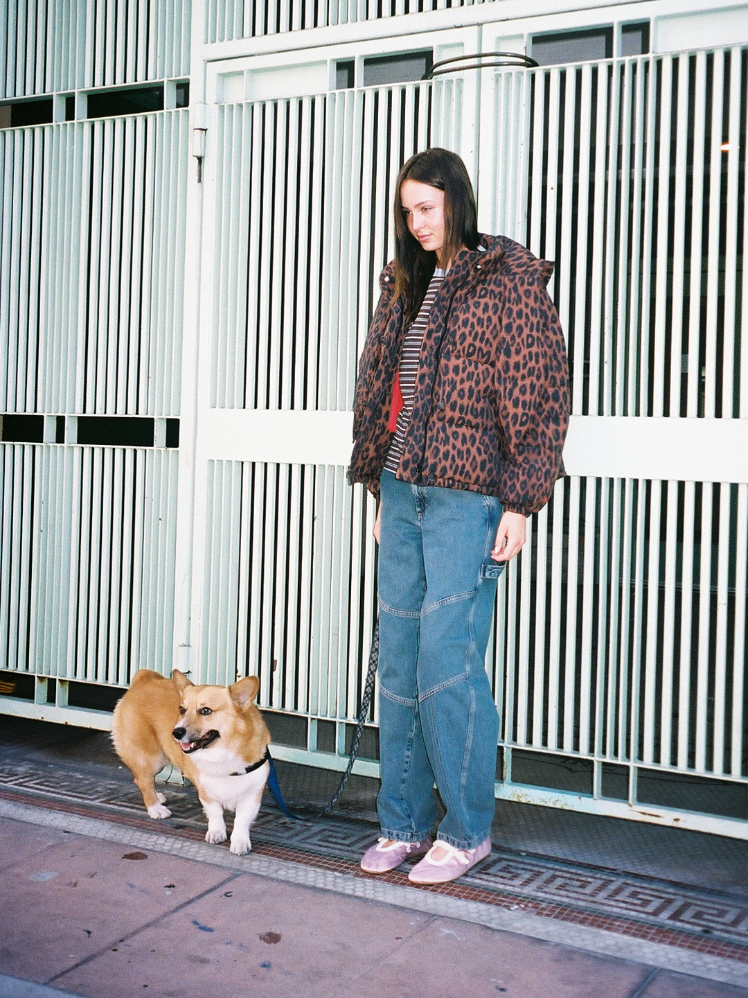 Pearl Puffer - Chocolate Leopard