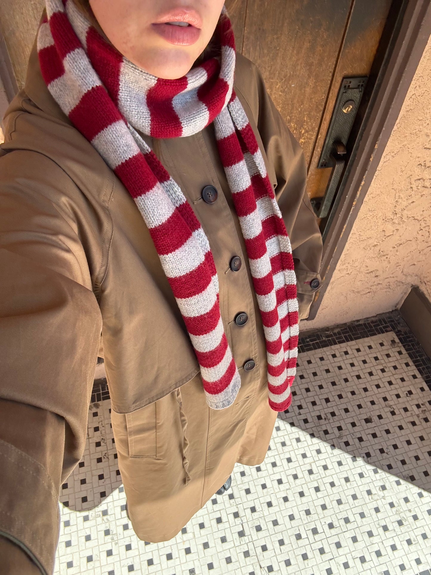 Stripe Skinny Scarf - Burgundy