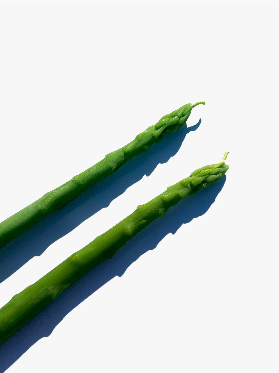Asparagus Candle Tapers - Asparagus