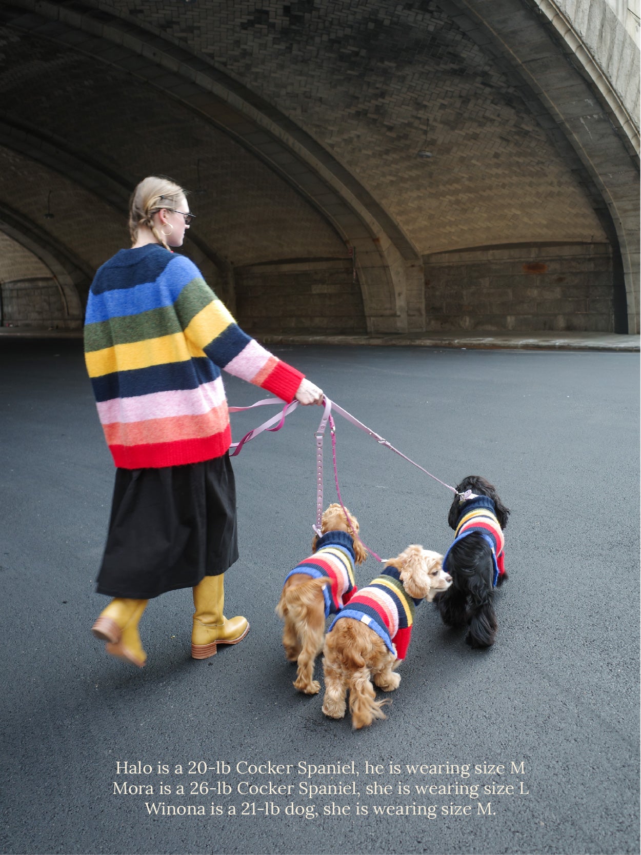 Dog Sweater - Rainbow