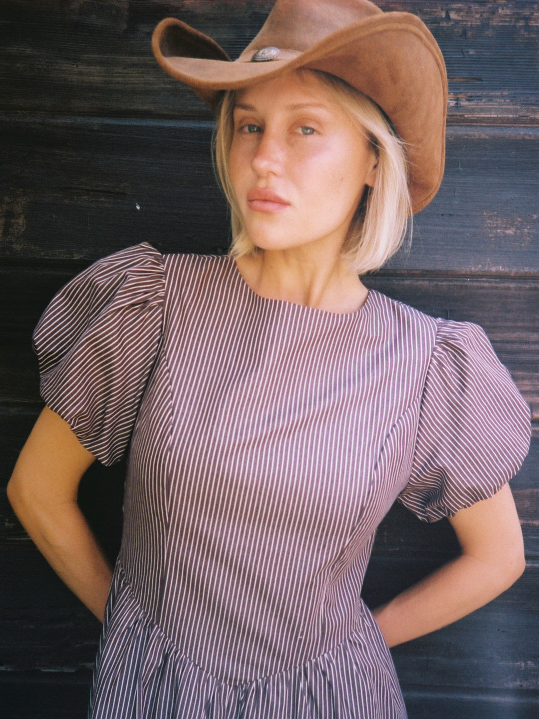 Verena Dress - Saddle Stripe