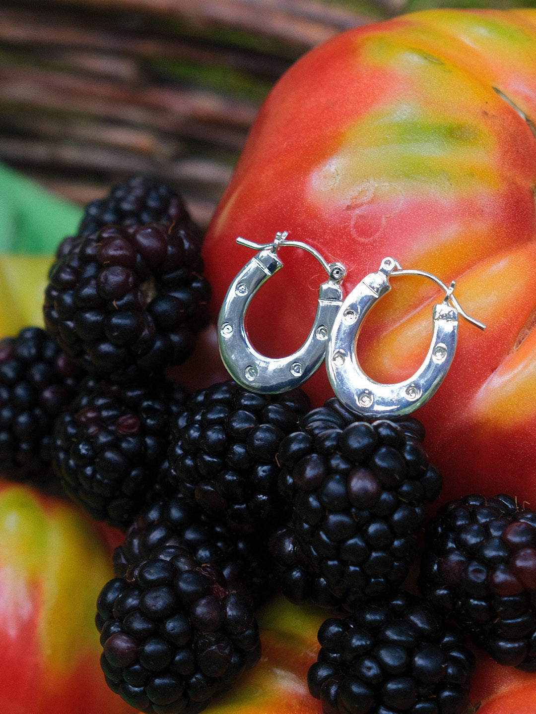 Horseshoe Earrings - Silver