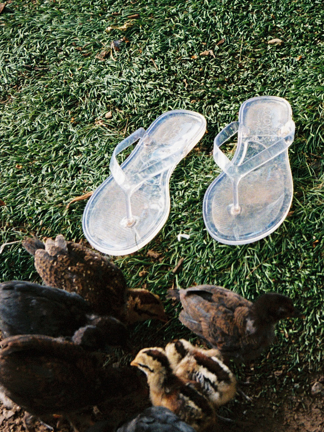 Olson Jelly Sandal - Clear