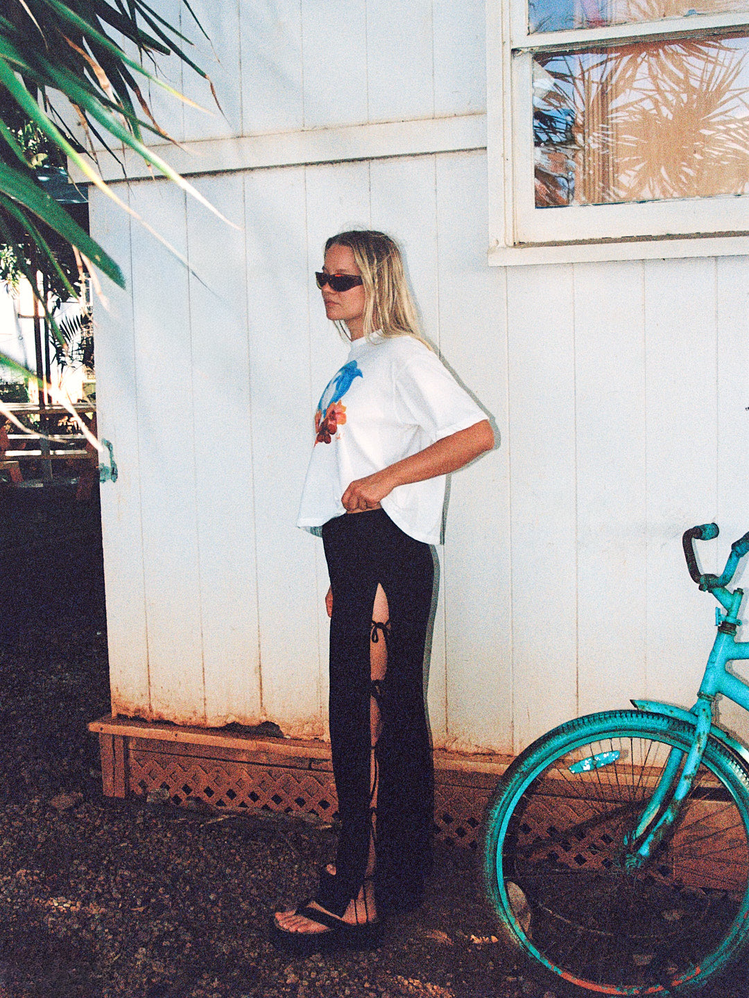 Charlie Tee - Dolphins – Lisa Says Gah