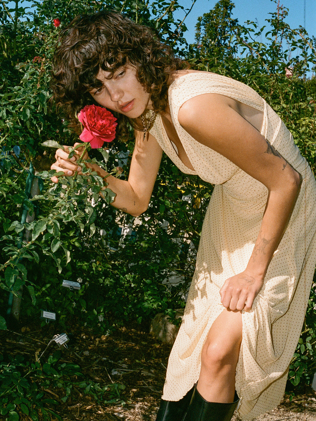 Maribel Dress - Yellow Dot