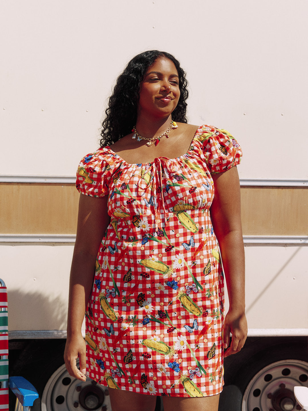 Suzy Dress - Garden Critters Gingham