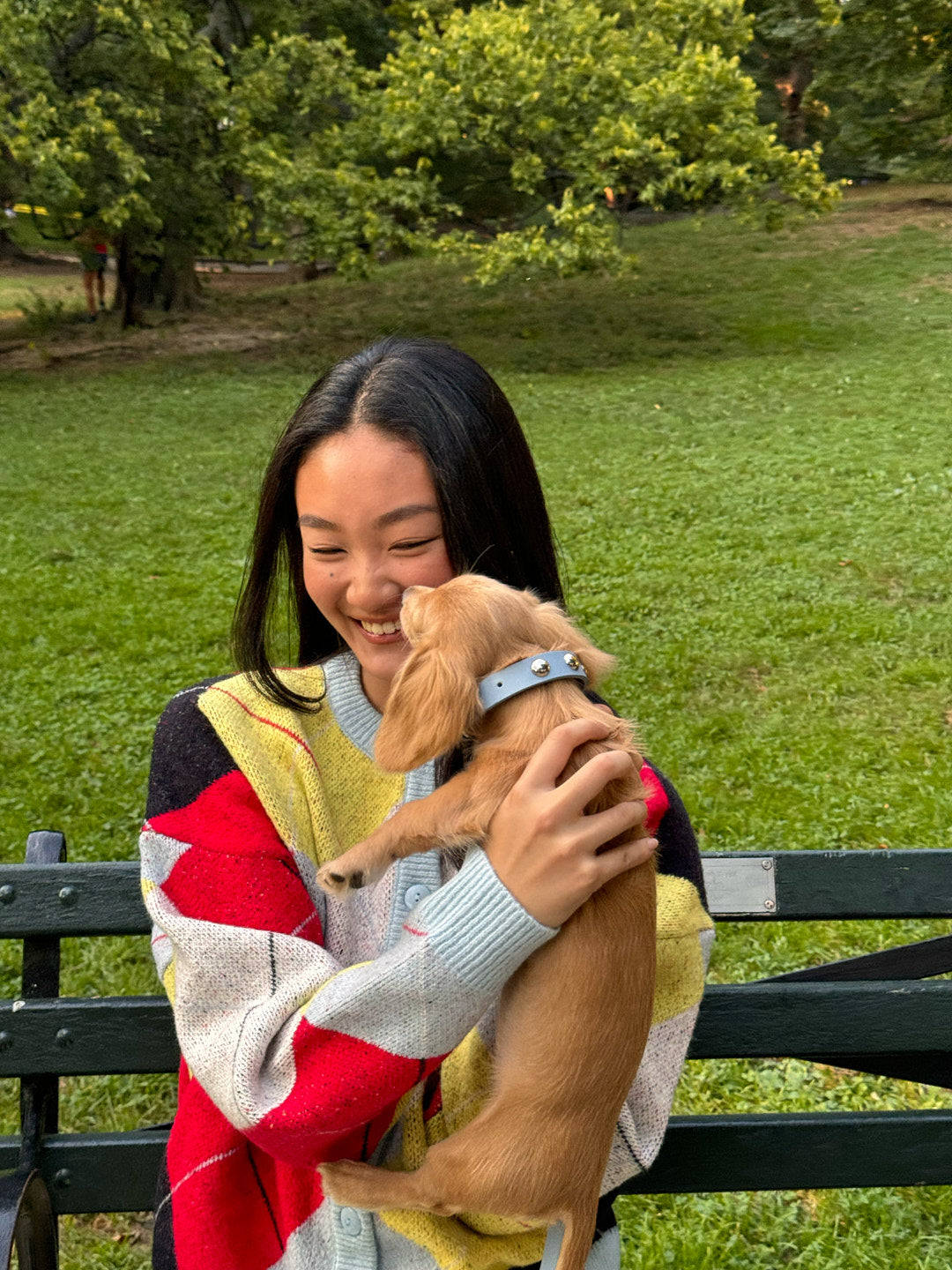 Dog Stud Collar - Powder Blue
