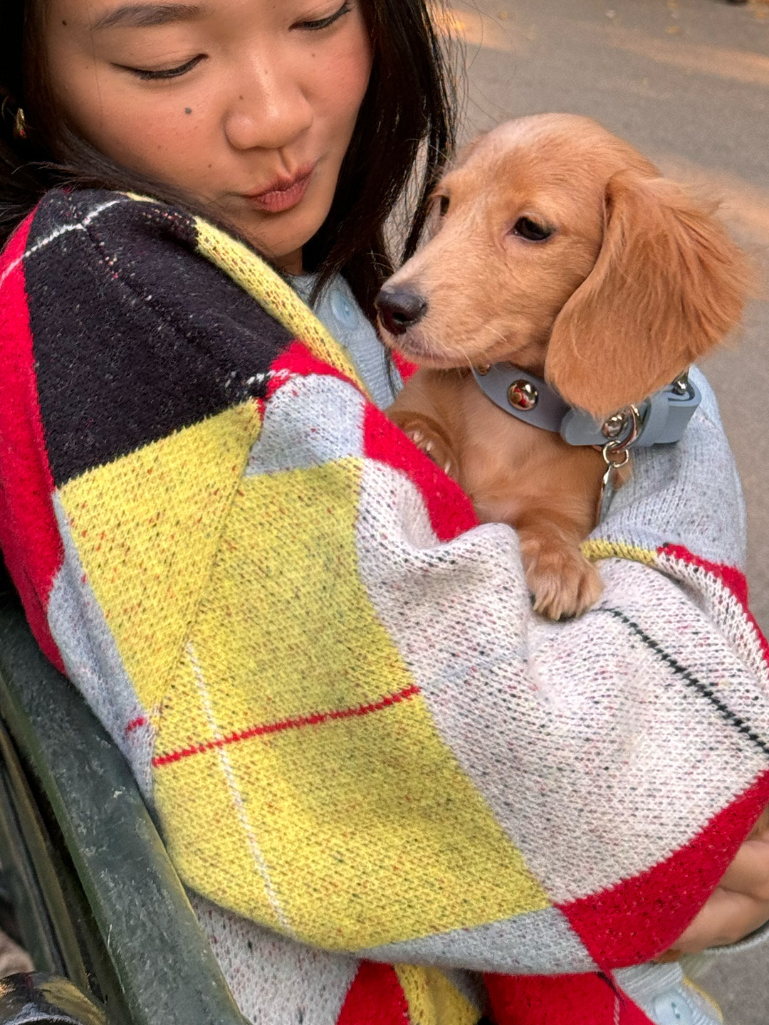 Dog Stud Collar - Powder Blue