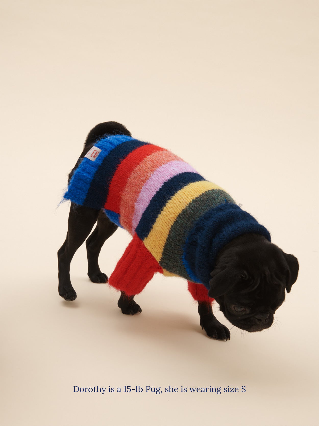 Dog Sweater - Rainbow