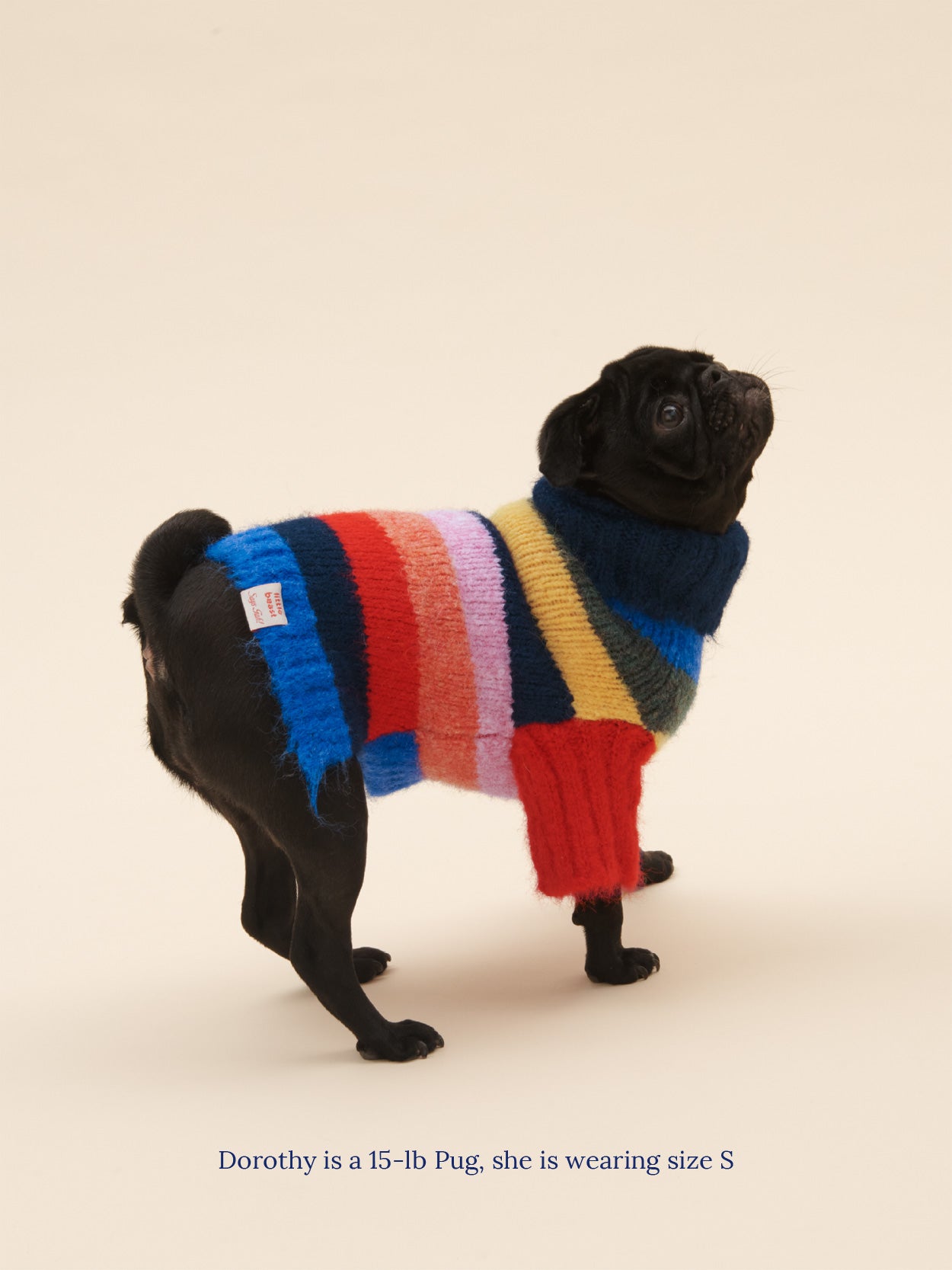 Dog Sweater - Rainbow