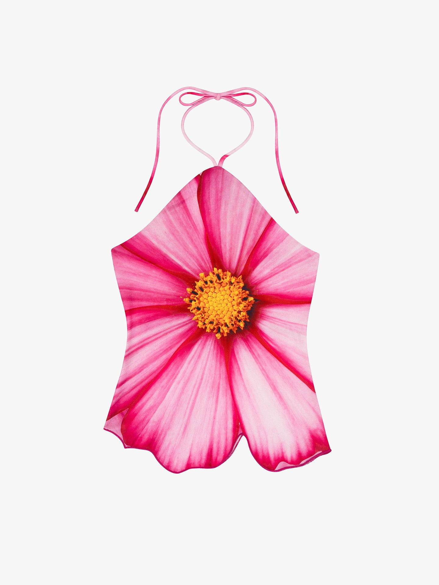 Cosmo Halter - Cosmo